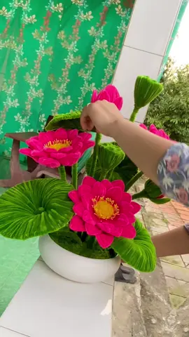 Màu này lên hình hơi chói, nhưng ở ngoài xinh #xuhuong #hoasen #hoasenkemnhung  @Ngọc Yến 