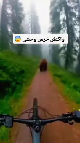 فقط کافیه عدد 6رو بفرستی💯