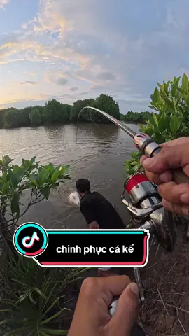Hành trình chinh phục con cá kể phần cuối #cauca #caucagiaitri #fishing #tanphatfishing 
