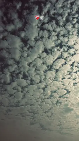 #shabanhaider1000✅🌱 #foryoupage #unfrezzmyaccount 