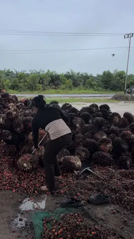 🫣🤪#lewatberandafyp #fypシ゚viral🖤tiktok #cewekpemuatsawit🔥 