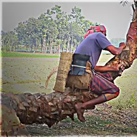 #Capcut বিনয়ী হলেই সকলেই ঘাড়ে চড়ে বসে.!😩 #Tiktok #tiktokvairal #tiktokbangladesh #vairal_video 