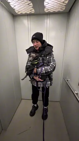 (Собачкой всё хорошо) Нет ну а что не мог быстро покекать))) @я@яБлюсинкаВ@Виталий Первухин