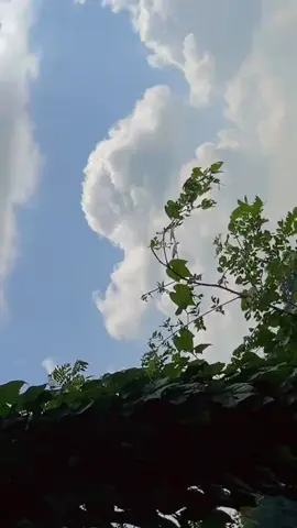 #အချိန်တွေကြာသွားလဲ🫶#Honey #မြင်ပါများပီးချစ်ကျွမ်းဝင်အောင်လို့🤒🖤 #fyppppppppppppppppppppppp 