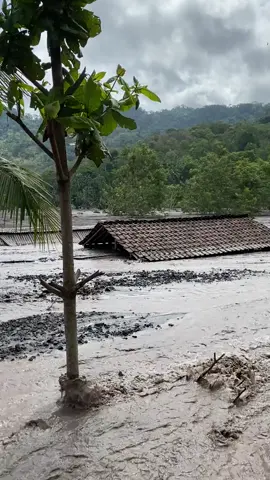 Sumber langsep lumajang. Sebanyak 15 rumah warga yang berada di Dusun Sumber Langsep, Desa Jugosari, Kecamatan Candipuro, Lumajang terendam banjir lahar Semeru. Banjir lahar ini terjadi imbas hujan deras yang mengguyur kawasan Gunung Semeru. Pada Minggu (7/12/2025), material pasir yang terbawa banjir lahar masuk ke dalam rumah warga. Bahkan ketinggian material banjir lahar itu mencapai 4 meter sehingga rumah warga terdampak hanya terlihat gentingnya saja #update #semerulumajang #viraltiktok #2025 