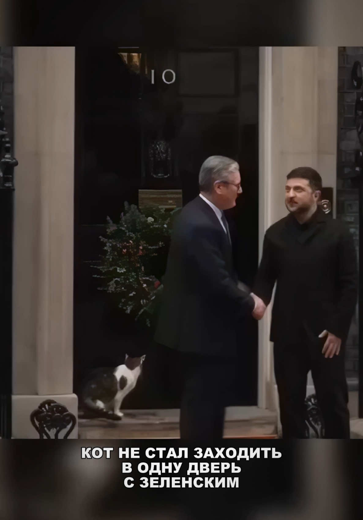 🐈💨 Интервью кота, который решил не входить с ним в одну дверь   #МемныйМомент #КотВыбралСвободу #СмешныеСитуации #ВирусныйРолик #ЗалетВРеки   