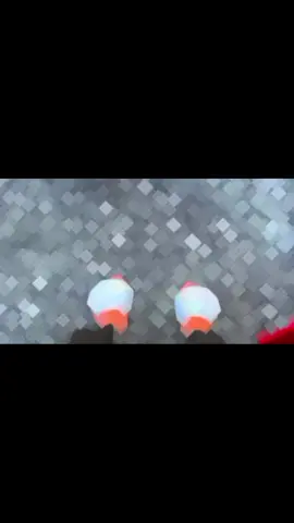 ''Này cô gái có nhớ anh không ❤🥰 #xuhuongtiktok #fyp #68kiengiang 