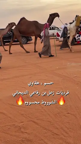 #زعل_الديحاني #مطير #مروعات #حسم #هقاوي 