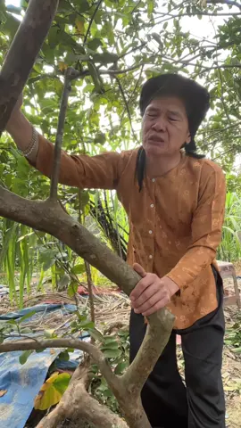 Xin đừng làm em đau.. tặng bạn@Lạc Trôi 