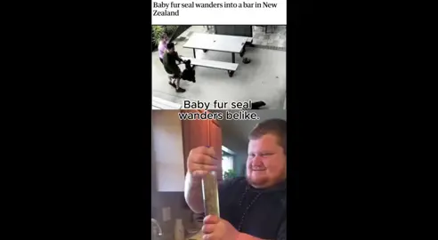 #CapCut I made this amazing video with CapCut. Open the link to try it out: capcut.com/tools/desktop-video-editor