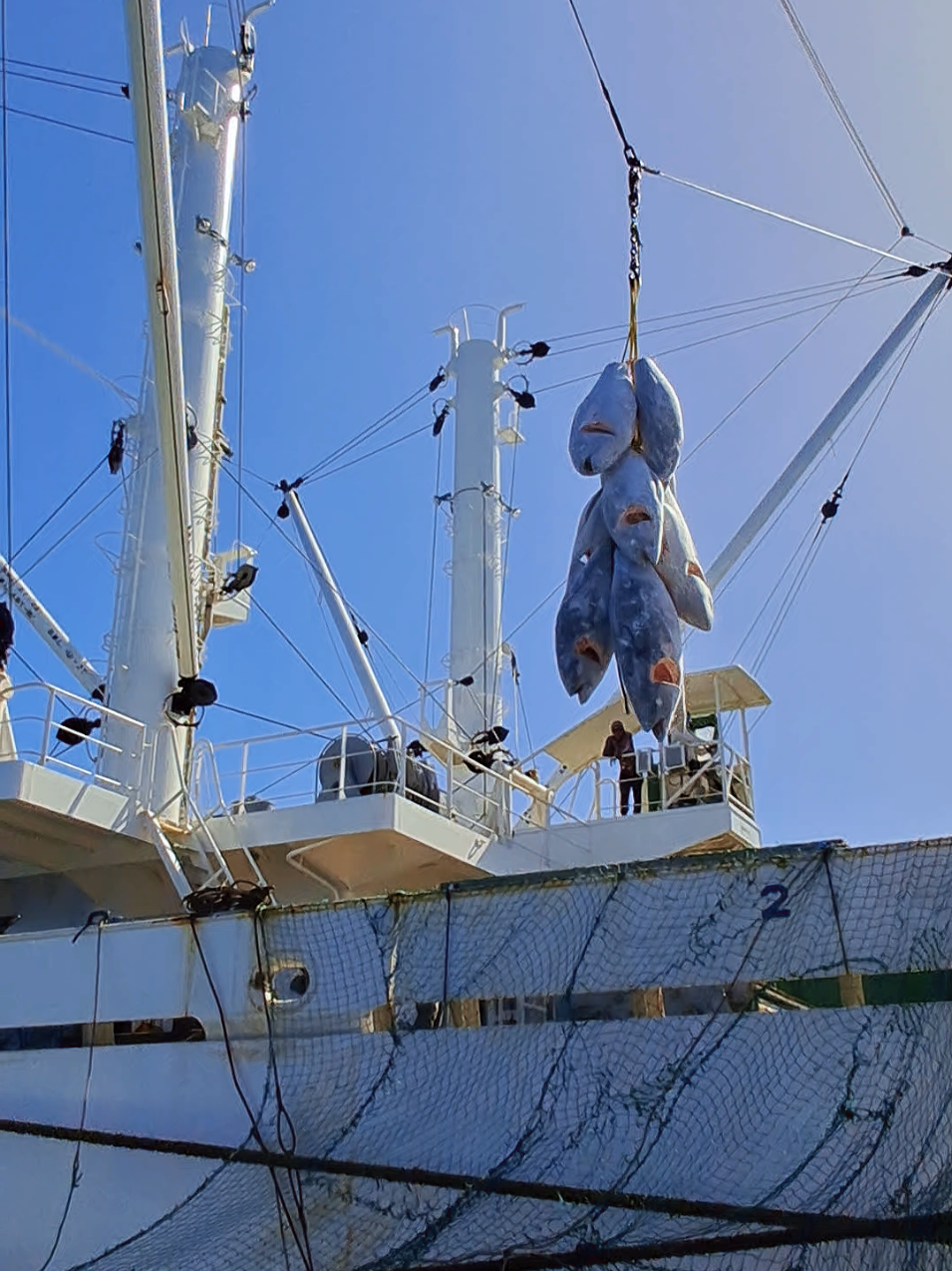 Masi seperti biasa...Nguli time.. #longline #fypberanda #pelautindonesia #pelautjapan🇯🇵🇲🇨 