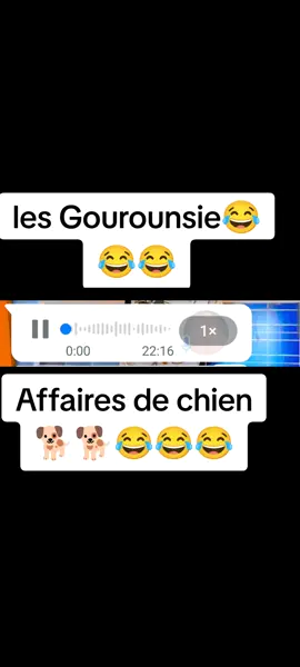 #creatorsearchinsight #burkinatiktok🇧🇫🇧🇫🇧🇫❤️ #viral affaires de chien 🐕🐕😂😂😂