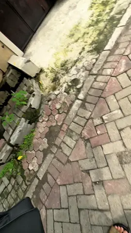 day 1 vlog magerr hari inii!!