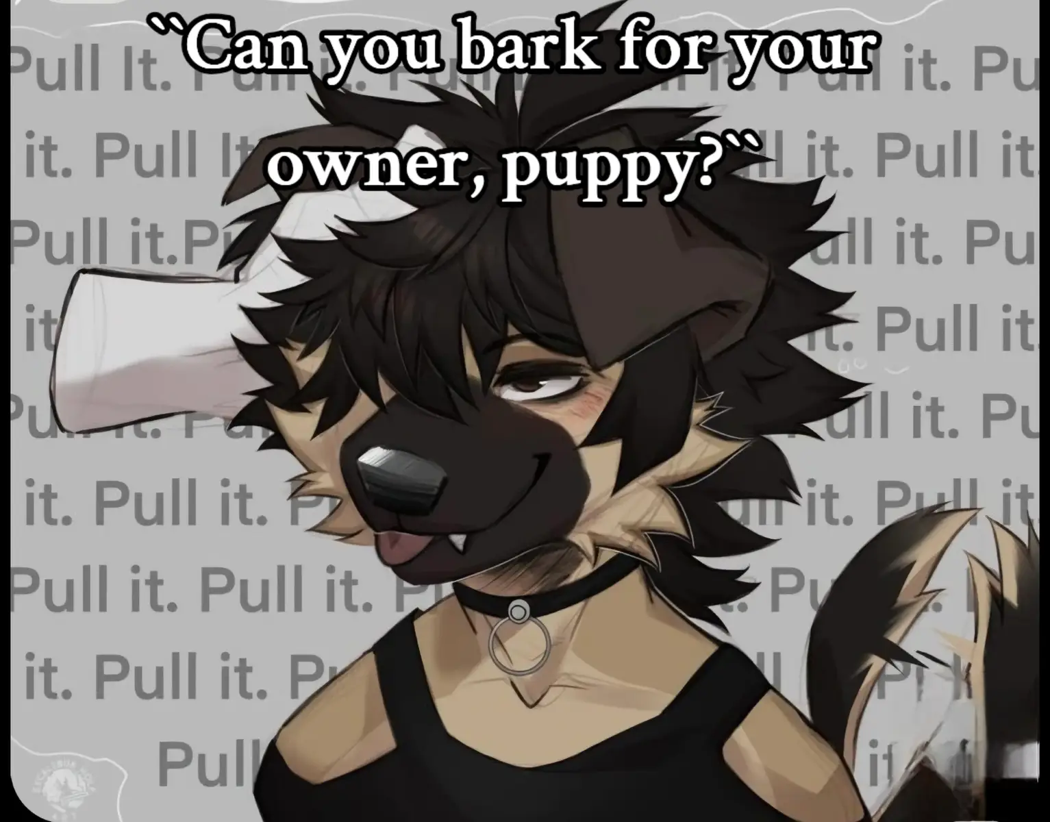 #english #fyp #femboy #puppy #goodboy @ᴋ𝔂ѻ  ❤️