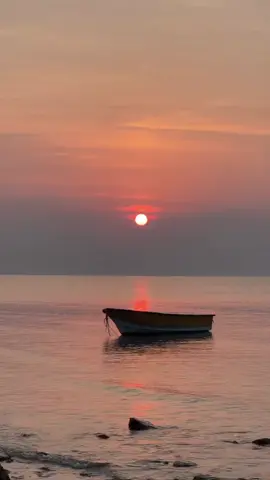 🌱دلم برات تنگ شده🥺🌱                                                     #viraltiktok #viraltiktok #greenscreen #viraltiktok #fyppppppppppppppppppppppp @morti 