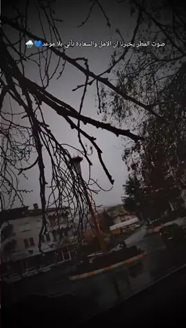 صوت المطر يخبرنا ان الامل والسعادة تأتي بلا موعد💙🌧️... ليس كل سقوط نهاية فسقوط المطر اجمل بداية💙🌧️#شتاء_البرد_اجواء_شتويه 