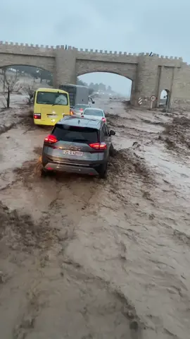 #tiktok #sulimany #تەکیە 