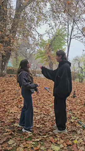 Առաջարկություն` որից հնարավոր է հրաժարվել