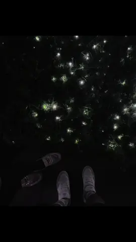 Tuhan tolong jaga hatinya🥺🍂🎧🍂#templatecapcut #soundviral #foryoupageofficiall #contentcreator #🇲🇨🇹🇼 