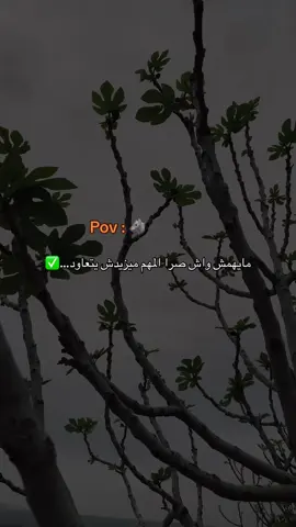 #تصميم_فيديوهات🎶🎤🎬 #تصويري_احترافي_الاجواء👌🏻🕊😴 #الجزائر🇩🇿_تونس🇹🇳_المغرب🇲🇦 #10millionviews #tiktok 