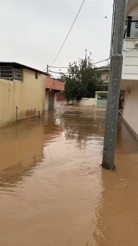 الحمد اللە دإما وأبدا.چەمچەماڵەکەم ڕەشپۆشە9/12/2025🥀خوای گەورە ڕەحم و بەزیی خۆی بەسەرماندا بڕێژێت#foryoupage #foryou #chamchamal #fyp #virall 
