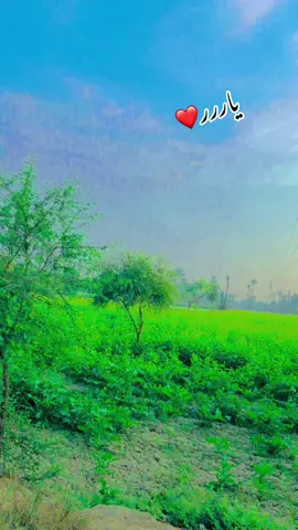 یاررر❤️#foryoupage❤️❤️ #donotunderreviewmyvideos #unfrezzmyaccount #unfrezzmyaccount 