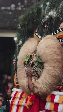 KEINDAHAN DALAM SETIAP GERAKAN 🍃 ~@Mamalalaa~  #reogponorogo #fyppppppppppppppppppppppp #kismantoro #ponorogo24jam 