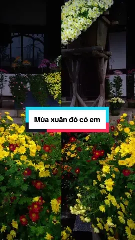 Em có nghe #nhachaymoingay #xuhuong2025 #khacvu1988 #nhachay #remix 