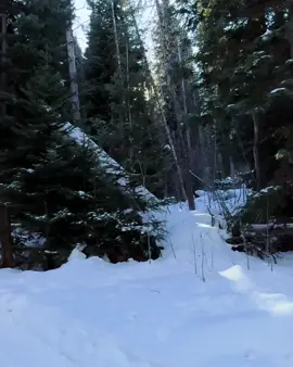 En Denver, hagamos algo divertido 🤩 #fyp #denver #fypシ #snow #latinos 