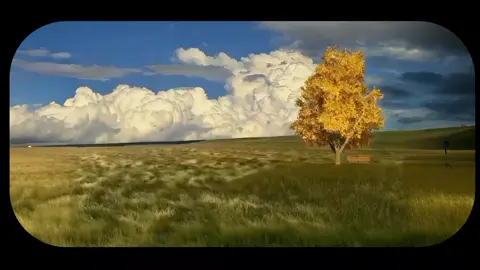 #CapCut #اكسبلورexplore  #قران_كريم  #ياسر_الدوسري  #ليك______🖤___متابعه____اكسبلووور 