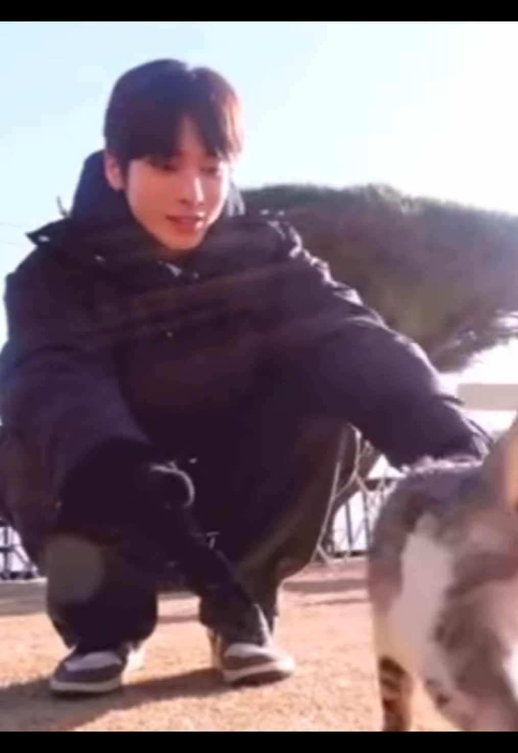 He soo fawking cute it’s giving me diabetes #txt #moa #taehyun #taehyuntxt #kpopfyp 