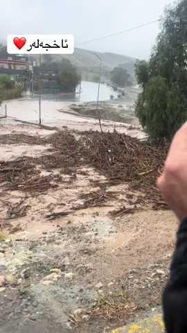 #barame ba rahmat#foryoupage #ێەکتیف_سیفرە🌹🌹🌹🌹🧿🧿 #for #ئەکتیڤبن🥀🖤ـہہـ٨ــہ 