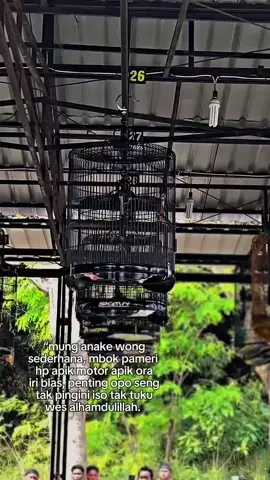 #fyp #fo #murai #sujudsyukur #muraibatuindonesia 