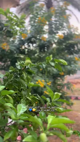 اجواء المطر 🌧️💙 #تصويري #لايكات #متابعه #اكسبلور #الشعب_الصيني_ماله_حل😂✌️ 