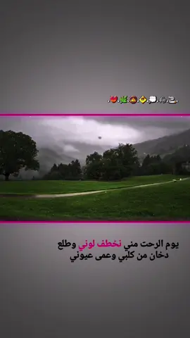 يوم الرحت مني نخطف لوني جزء 59 | #تفاعلكم✨🍂 #تصاميم_فيديوهات🎵🎤🎬 #ستوريات_متنوعه #ستوريات_حزين #عباراتكم_الفخمه📿 