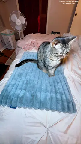 It’s freezing outside, and my cat has barely moved from her Bedsure Self Warming Pet Mat ❄️🐾 This self-heating bed reflects your pet’s body heat to keep them warm without cords or electricity. The soft sherpa fabric is perfect for winter naps, and the whole mat is machine washable and portable for any room. If your cat or small dog loves staying cozy during the cold months, this is the perfect winter must-have. Grab yours while they’re still in stock! #catsoftiktok #dogparents #CatParents #selfwarmingmat #petbed