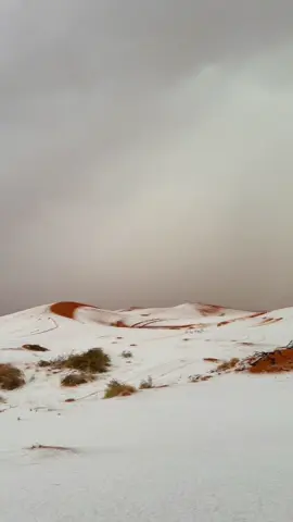 #حايل #الشمال 