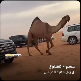 #اكسبلور #لايك #مهرجان_الملك_عبدالعزيز_لمزاين_الابل10 #زعل_الديحاني #هقاوي 