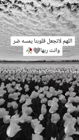 #حزن_غياب_وجع_فراق_دموع_خذلان_صدمة #الشعب_الصيني_ماله_حل😂😂 #المغرب🇲🇦تونس🇹🇳الجزائر🇩🇿 #creatorsearchinsights #يارب 