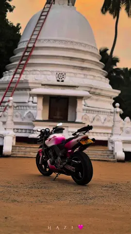 ඒකහ්🥺🤍 #ha_zi_💙🐝 #zara_🇯🇵🐝💜 #hornet250 #2m #trendingvideo 