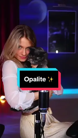 Танцы с Кисонькой 😻 @Квашеная #квашеная #fyp #opalite #dance #kvashenaya