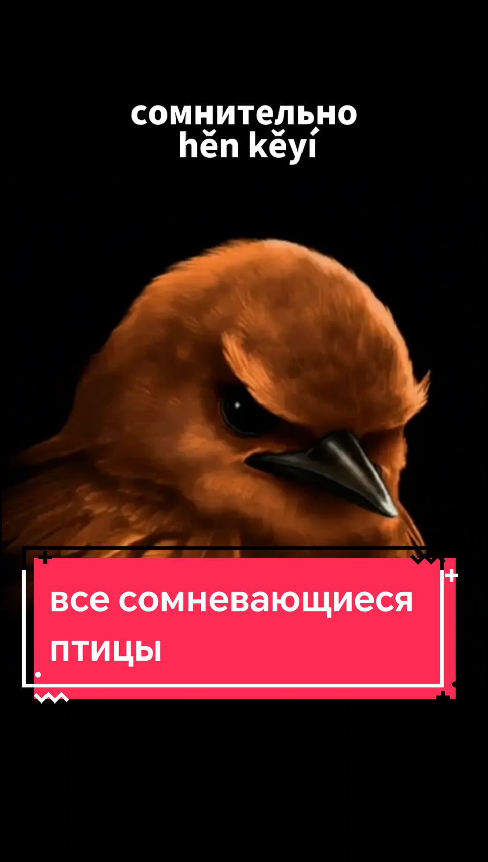 птица вряд-ли сомневаюсь маловероятно 50 на 50 на китайском языке! весь стикерпак в тгк HaoHan #хаохань #китайский #китай 