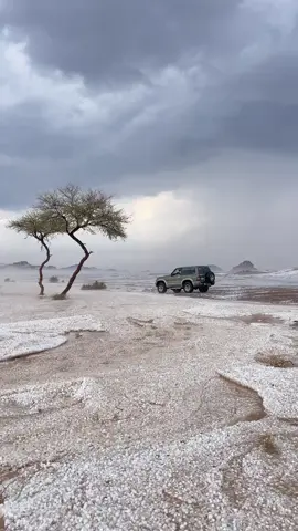 بردية جنوب حايل♥️♥️😍 #حائل #حايلندا #امطار #اكسبلور #حائل_الآن 