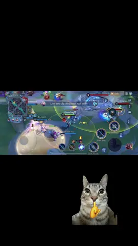 Idol paine nào đó🗿🗿 #fpy #creatortiennang #lienquanmobile #36 #chienthanrauma 