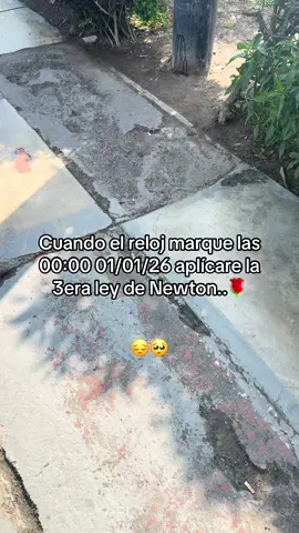 Simplemente la ley..🌹#hastaaquillegue #viral #pyfツ #newton 