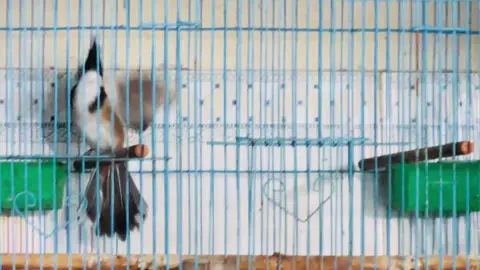 Cực phẩm , hoàn hảo từ A>Z