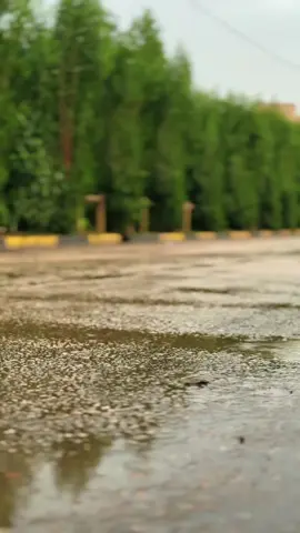 الاستماع للاغاني وربطها بالمطر نموذج فعلي لقول الامام زين العابدين{{عليه السلام}}حين قال .تَتَحَبَّبُ إلَينا بِالنِّعَمِ ونُعارِضُكَ بِالذُّنوبِ «162 »خَيرُكَ إلَينا نازِلٌ وشَرُّنا إلَيكَ صاعِدٌ «162 »ولَم يَزَل ولا يَزالُ مَلَكٌ كَريمٌ يَأتيكَ عَنّا بِعَمَلٍ قَبيحٍ ، فَلا يَمنَعُكَ ذلِكَ أن تَحوطَنا بِنِعَمِكَ ، وتَتَفَضَّلَ عَلَينا بِآلائِكَ «163 »فَسُبحانَكَ ما أحلَمَكَ وأعظَمَك وأكرَمَكَ مُبدِئا ومُعيدا❤️‍🩹🌧️😔🥀 #الهم_صلي_على_محمد_وأل_محمد❤❤❤❤ #اللهم_عجل_لوليك_الفرج__💔🥺 #العتبة_الحسينية_المقدسة #شعب_الصيني_ماله_حل😂😂 #كربلاء_مدينة_العشق_والعاشقين 