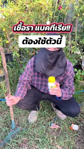 ต้องใช้ตัวนี้เลย #ก้าวทวีการเกษตร #ป้องกันโรคพืช #โรคพืช #โลแบค #ออร์แกนิค 