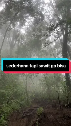 tapi sawit ga bisa🫶🏽 #fyp #fypシ゚ #fyppppppppppppppppppppppp #viral #sawit 