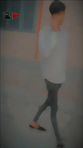 #creatorsearchinsights 